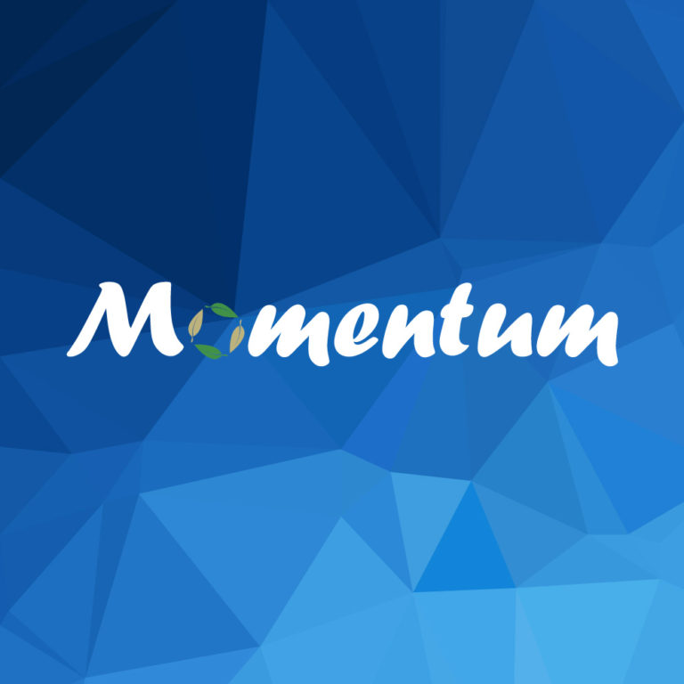 Momentum Services Limited